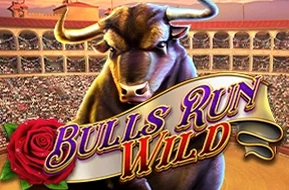 Bulls Run Wild
